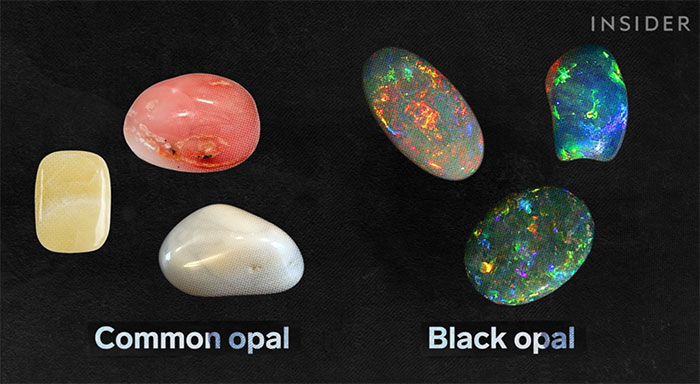 Đá opal thường và đá opal đen. 