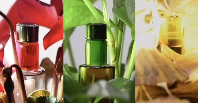 Đại học ở Trung Quốc phát triển thành công vật liệu tàng hình giống tắc kè hoa