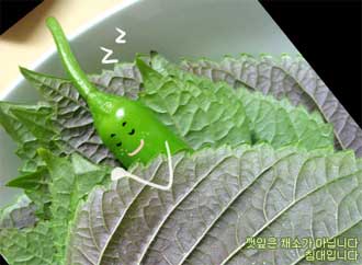 Dành cho người bạn thương yêu nhất